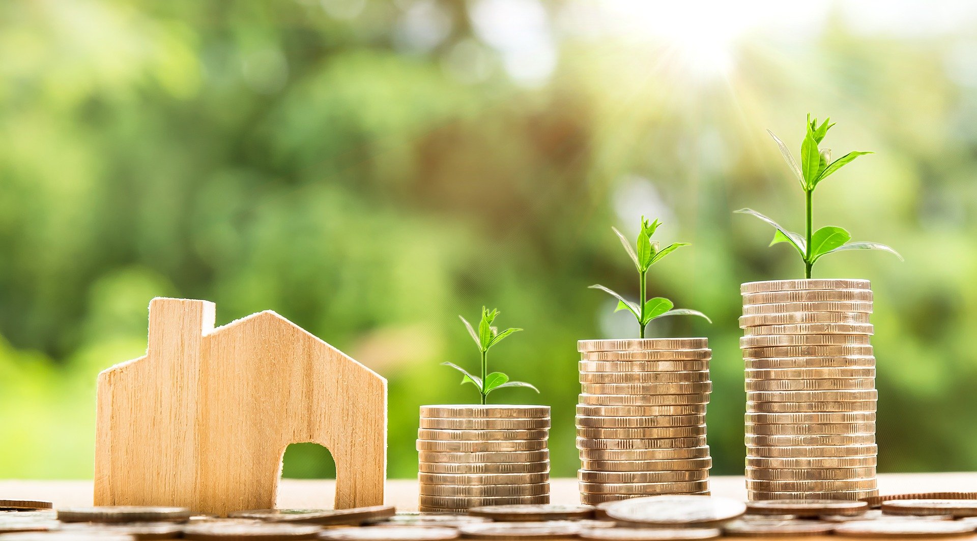 INVESTIR_IMMOBILIER_JEUNE | Eco concept Quels travaux entrent dans la rénovation énergétique ? Rixheim